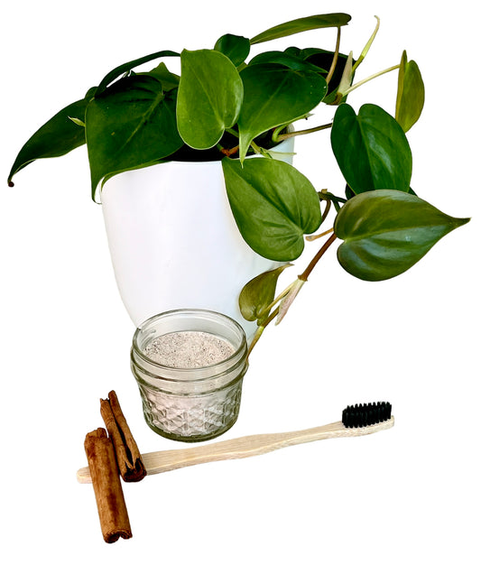 Image of tooth powder, a natural dental care product in a small jar. Surrounded by a plant, toothbrush and herbs.