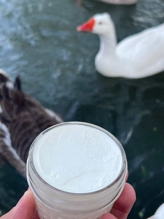 Did your tallow arrive melted or solidified?
